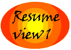 Resume View One